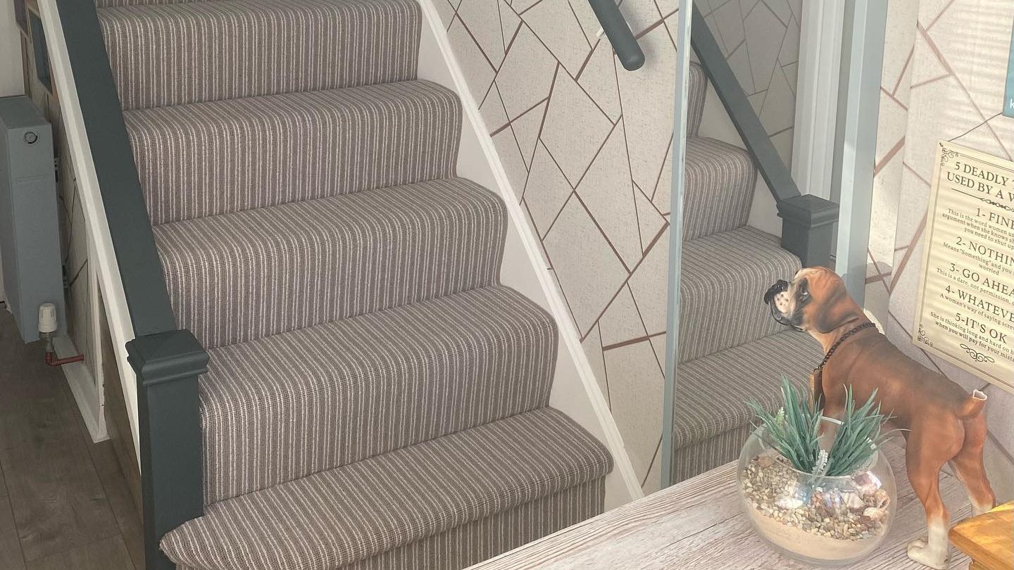 New Year, New Carpet?